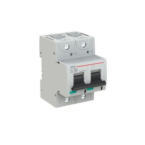 INTERRUTTORE AEG SERIE E880+  2P C 125A 50kA