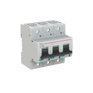 INTERRUTTORE AEG SERIE E880+  3P C 125A 50kA