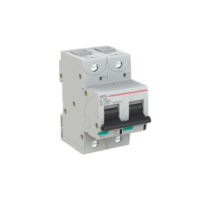 INTERRUTTORE AEG SERIE E880+  2P D 80A 50kA