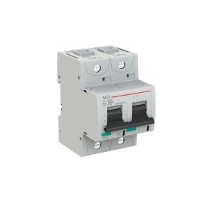 INTERRUTTORE AEG SERIE E880+  2P D 125A 50kA