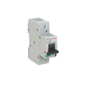 INTERRUTTORE AEG SERIE E880+  1P C 100A 50kA