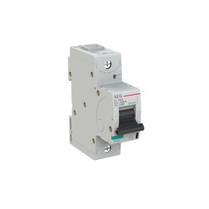 INTERRUTTORE AEG SERIE E880+  1P C 80A 50kA