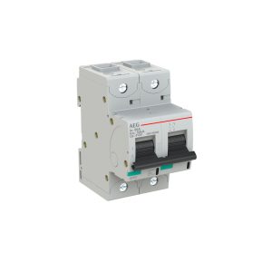 INTERRUTTORE AEG SERIE E880+  2P B 80A 50kA